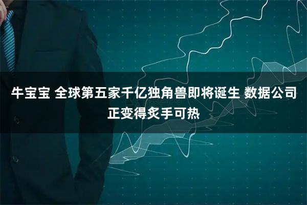 牛宝宝 全球第五家千亿独角兽即将诞生 数据公司正变得炙手可热