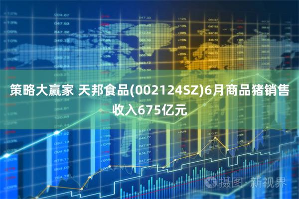 策略大赢家 天邦食品(002124SZ)6月商品猪销售收入675亿元