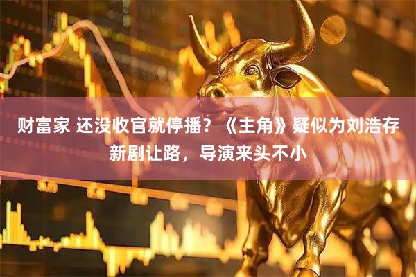 财富家 还没收官就停播？《主角》疑似为刘浩存新剧让路，导演来头不小