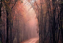 天津配资公司:最新股票交易-A股三大指数回调：沪指跌0.45% 银行股逆市走强